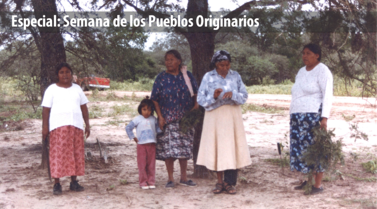 La lengua alumbra comunidades