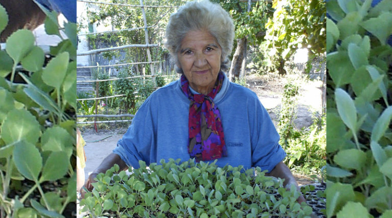 Una semilla de soberanía alimentaria