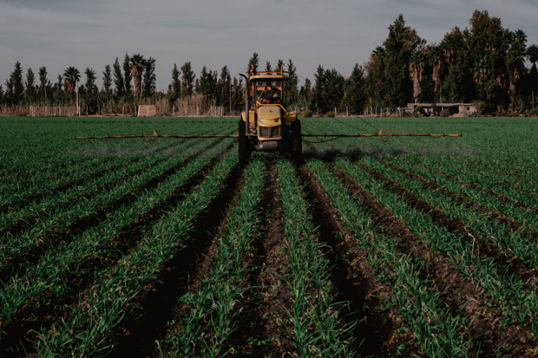 Una lupa sobre el universo agropecuario