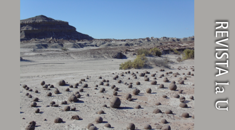 La Paleontología local y sus huellas en la UNSJ