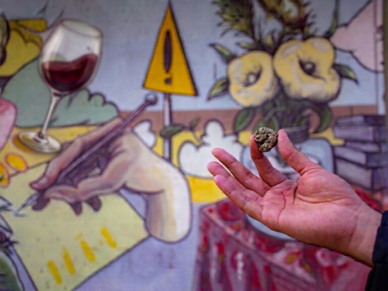 De la tierra del vino a una matriz productiva diversa: el camino económico de San Juan